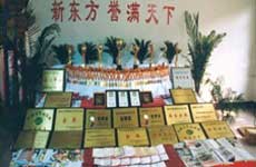 �����¶������ѧУ����