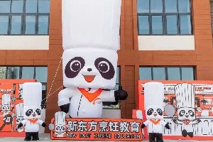 就业才是硬道理丨多地发布网约车饱和预警,就业难上加难!