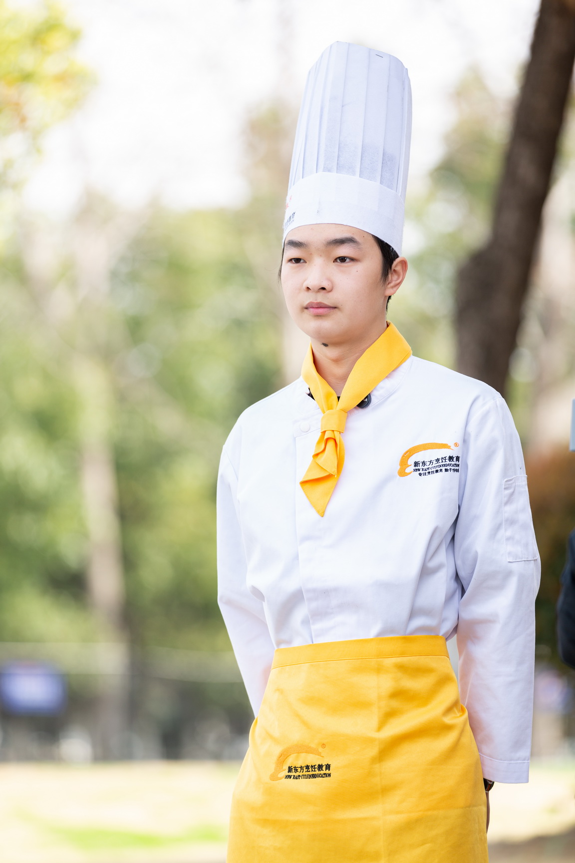 学厨师未来可以做什么工作?学厨师的7种逆袭人生职业,越老越吃香